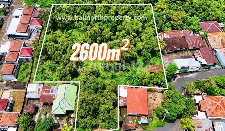 Dijual Tanah Murah Dikawasan Lovina Buleleng Bali Utara