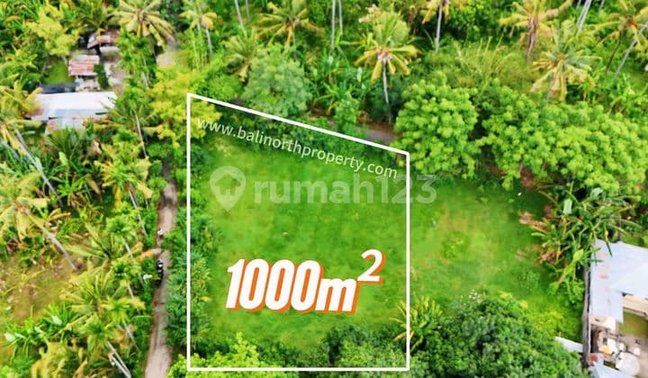 Exclusive Prime Land For Sale In Lovina North Bali