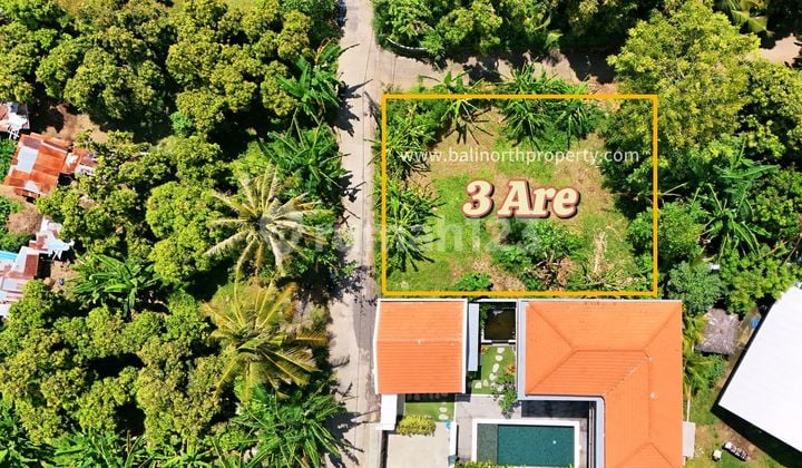 Dijual Tanah Premium Dilovina North Bali