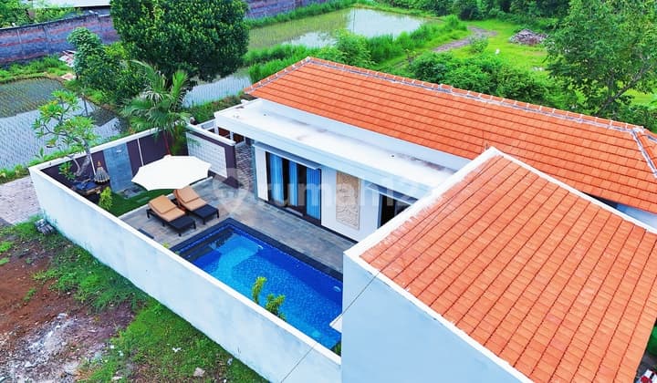 Luxury Villa For Sale In Central Lovina - North Bali.