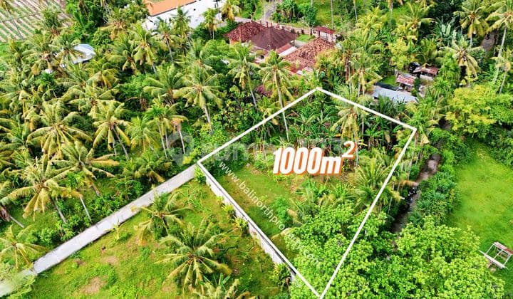 Exclusive Land For Sale In Central Lovina North Bali