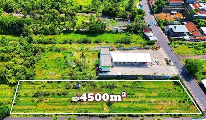 Super Premium Land For Sale In Lovina North Bali