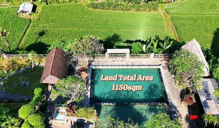 Public Swimming Pool For Sale In Sambangan Village North Bali