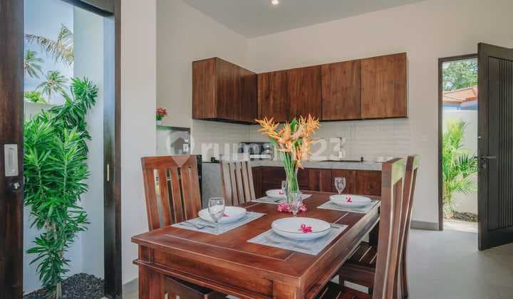 Luxury Villa For Sale In Central Lovina - North Bali.