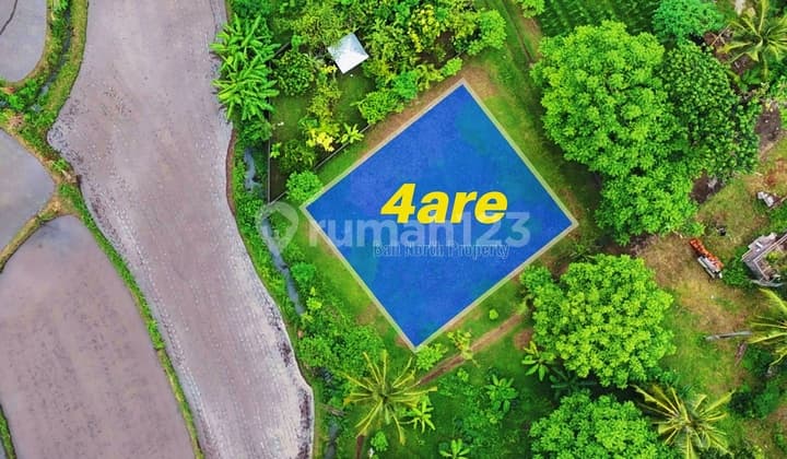 Exclusive Land For Sale In Lovina At The North Of Bali