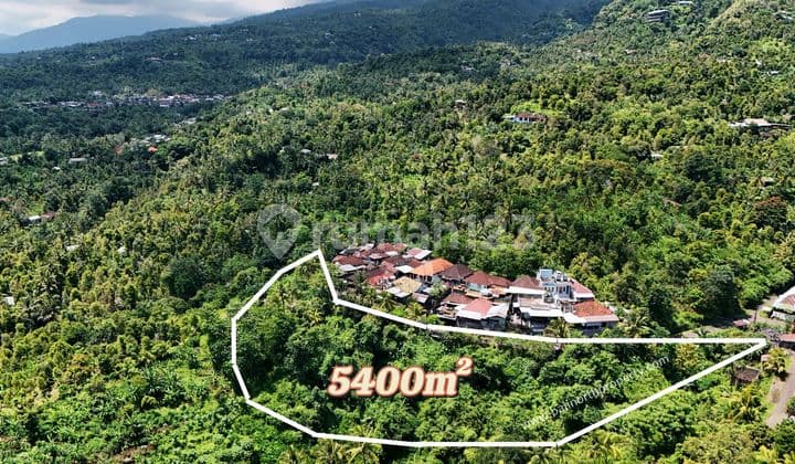 Tanah Dijual di Kawasan Bukit Lovina Bali Utara