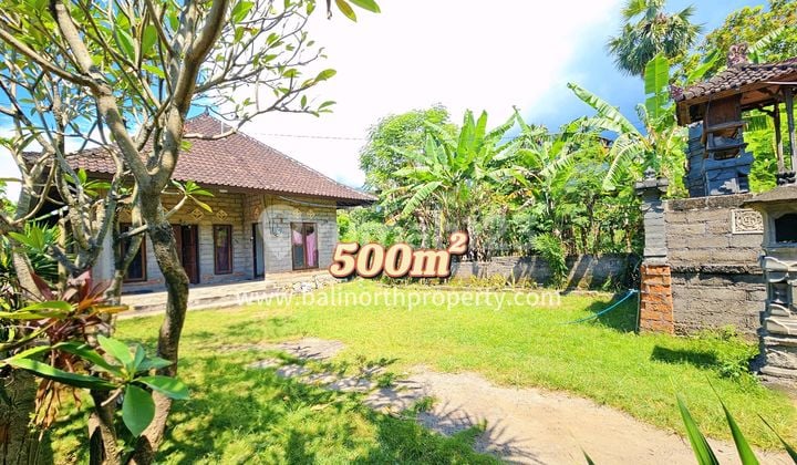 Dijual Tanah dan Juga Rumah Dicentral Pemuteran Bali Utara