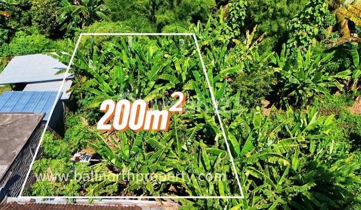 Prime Land For Sale In Central Lovina North Bali