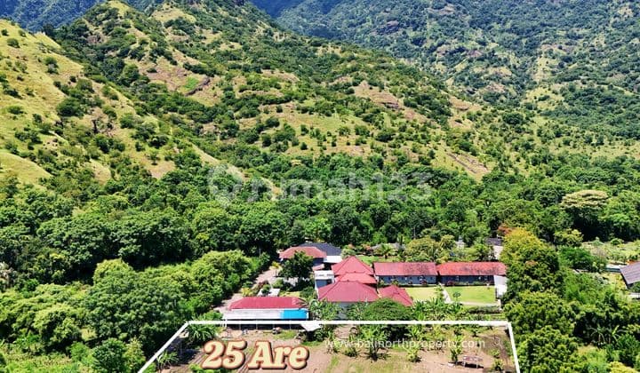 Land For Sale In Central Pemuteran North Of Bali