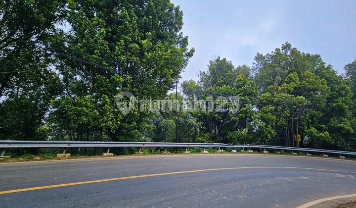 Clove Garden Land For Sale