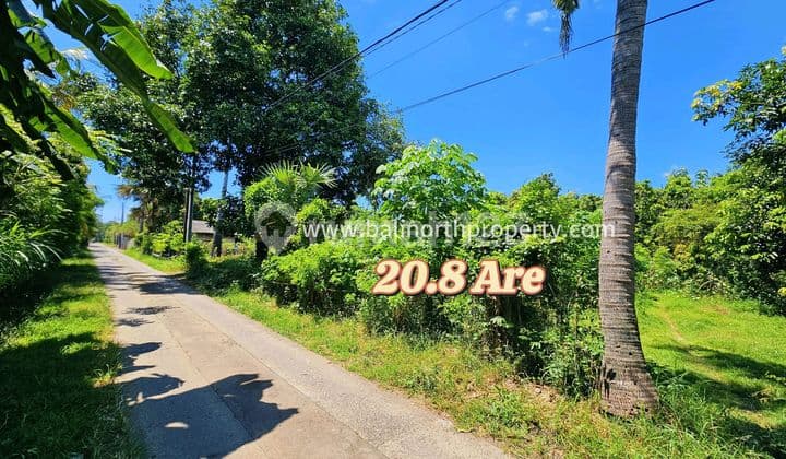 Land For Sale In Central Pemuteran North Of Bali