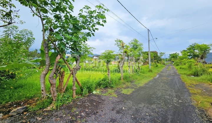 Premium Land For Sale In Lovina At The North Of Bali