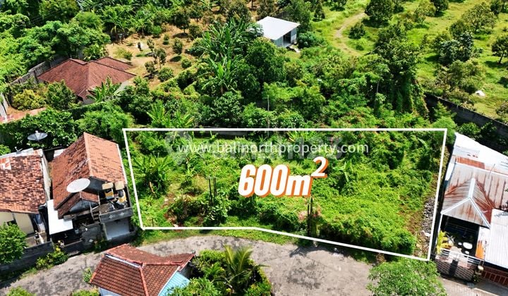 For Sale Premium Strategic Land in Central Lovina North Bali