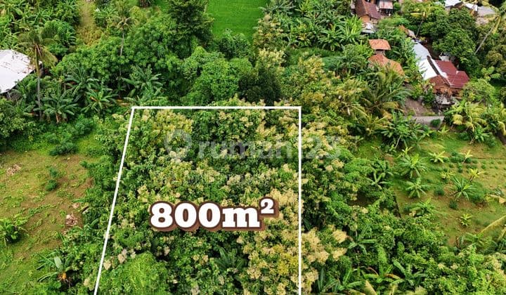 Dijual Tanah Potensial Dikawasan Central Lovina Bali Utara