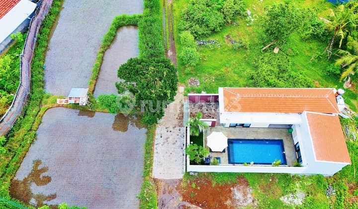 Luxury Villa For Sale In Central Lovina - North Bali.