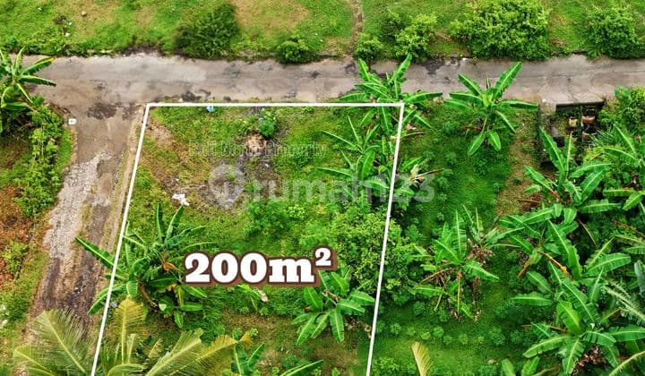 Premium Land For Sale In Lovina North Bali