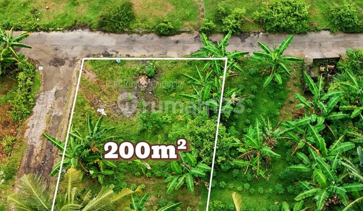 Premium Land For Sale In Lovina North Bali