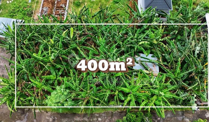 Premium Land for Sale in a Strategic Location at Central Lovina, Bali