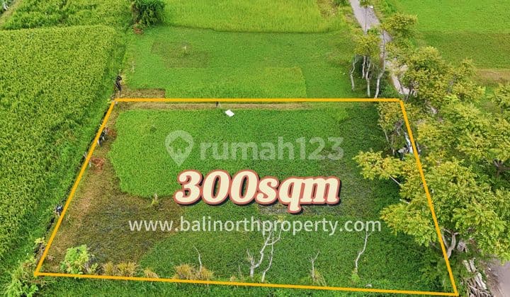 Exclusive Tropical Land For Sale In Lovina North Bali