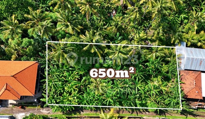 Dijual Tanah Premium di Lovina Bali Utara