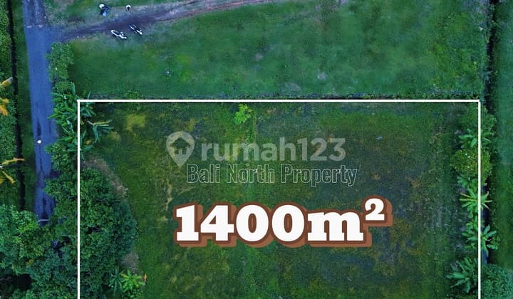 Premium Land For Sale In Lovina North Bali