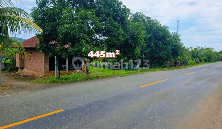 For Sale Strategic Land by Main Highway in Buleleng Bali