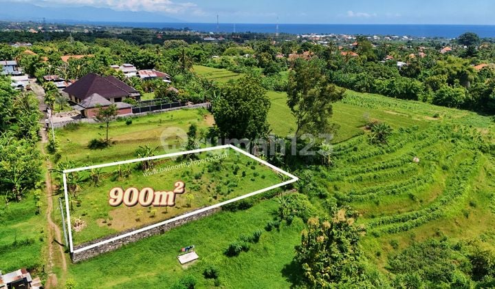 Scenic Hillside Land For Sale In Lovina Area North Bali