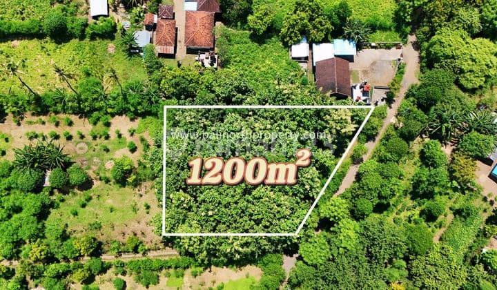 Premium Land For Sale In Central Pemuteran North Bali