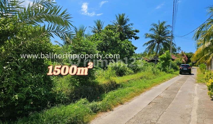 Land For Sale In Central Pemuteran North Of Bali