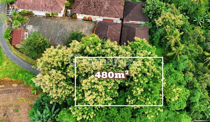 Dijual Tanah dengan View Perbukitan di Bali Utara