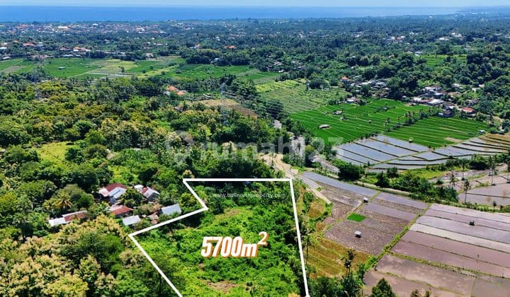 Dijual Tanah Premium Dibuleleng Bali Utara