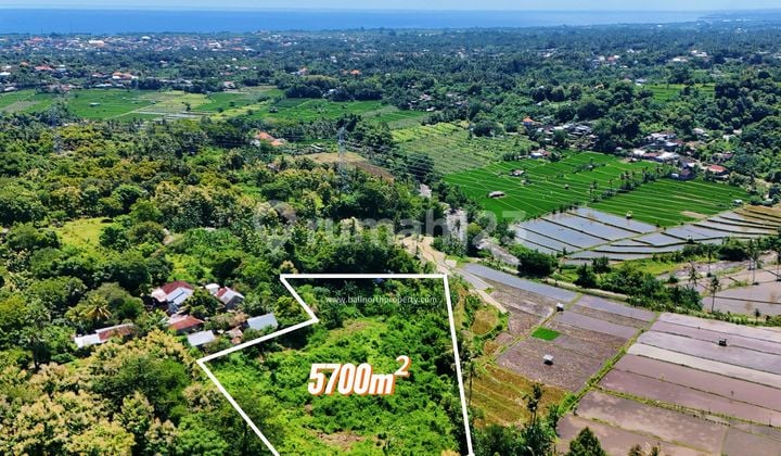 Dijual Tanah Premium Dibuleleng Bali Utara