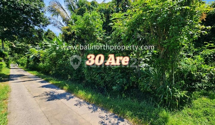 Land For Sale In Central Pemuteran North Of Bali