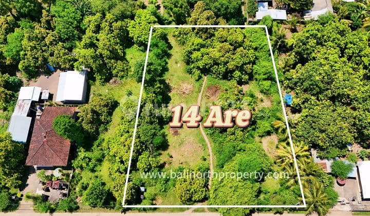 Land For Sale In Central Pemuteran North Of Bali