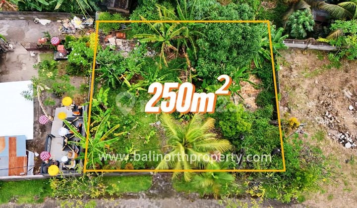 Land For Sale In Sambangan Village Buleleng Bali Utara