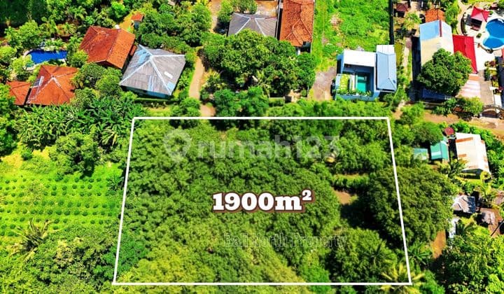 Premium Land For Sale In Central Lovina North Bali
