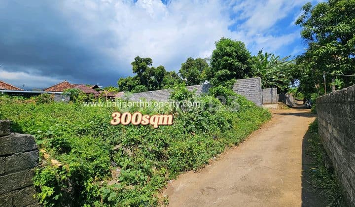Prime Land For Sale In Central Lovina North Bali