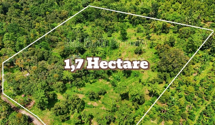Exclusive Land Hillside For Sale