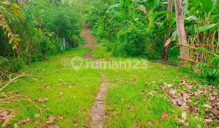 Tanah Premium For Sale