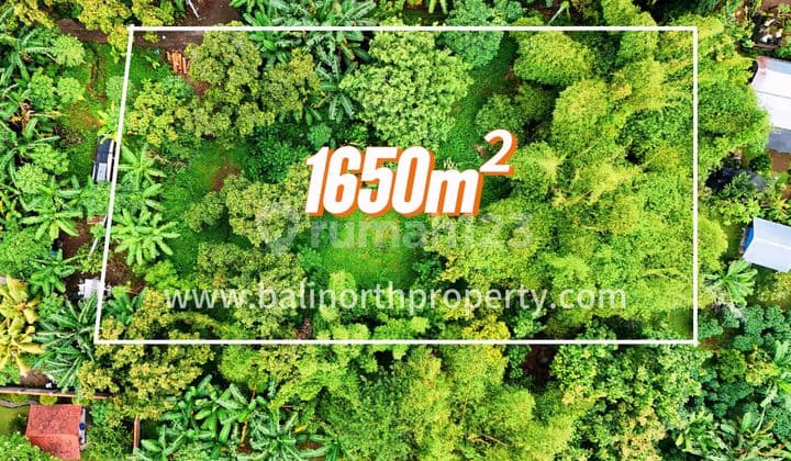 Premium Land For Sale In Central Lovina North Bali