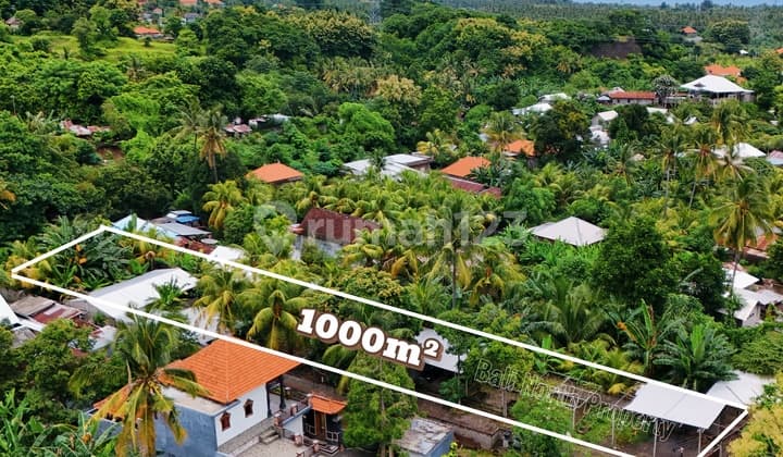 Strategic Land For Sale In Lovina At The North Of Bali