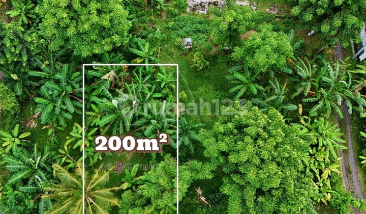 Premium Land For Sale In Lovina North Bali