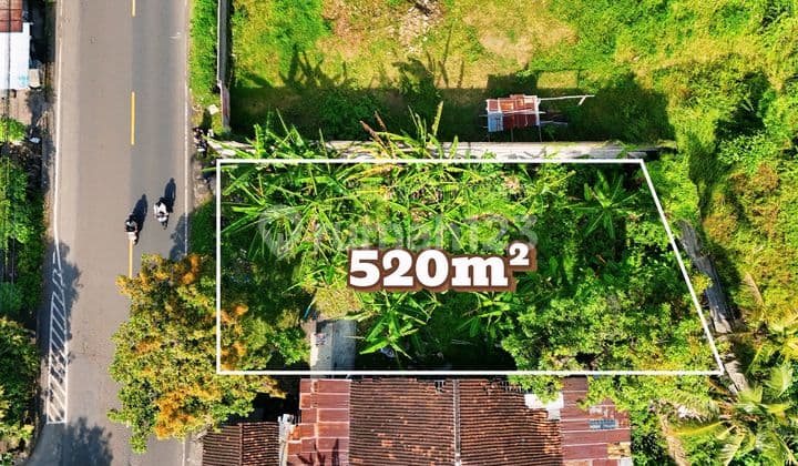 Dijual Tanah Premium Pinggir Jalan Raya Utama Buleleng Bali Utara