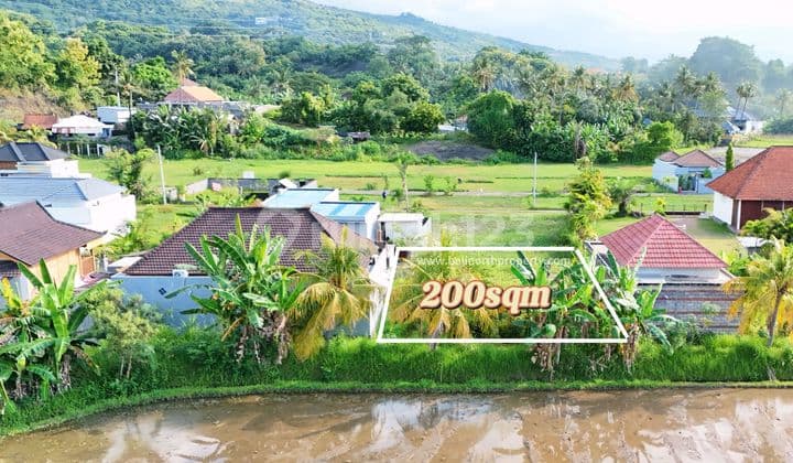 Land For Sale In Central Lovina, North Bali