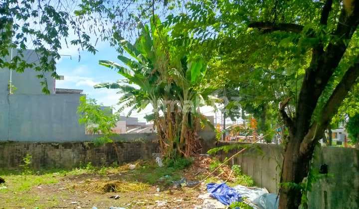 Tanah Menteng Harga Spesial, Peluang Langka!