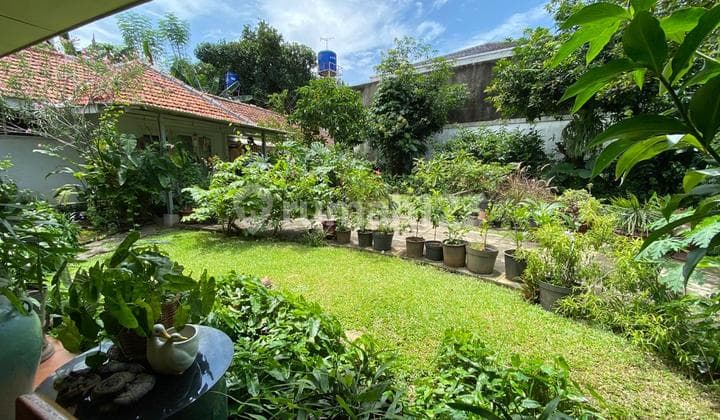 Sangat Langka Rumah Menteng Super Hijau dengan Aura Eksklusif