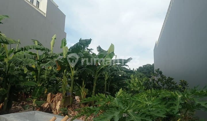 Aset Langka Menteng - Siap Dibangun