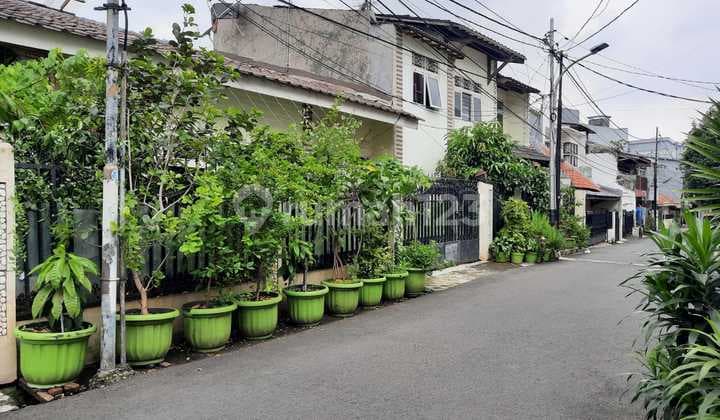 Rumah Bagus 2 Lantai Luas 85M2 di Jalan Merpati, Tebet Jakarta Selatan - Cash Only