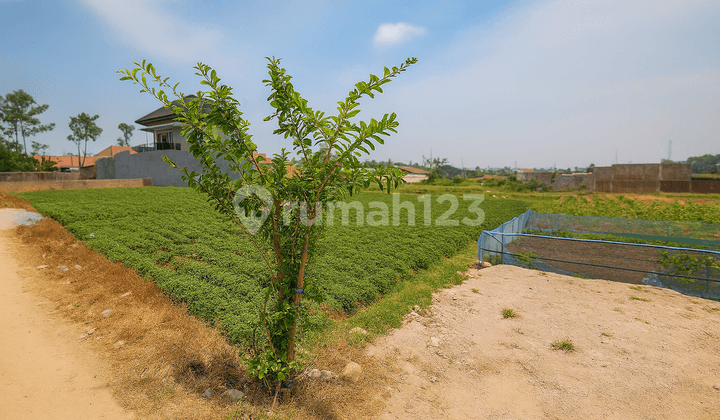 Hanya 2 Jt-Andapat Tanah untuk Kosan di Jatinangor