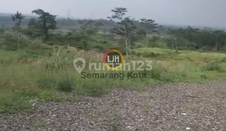 Kavling di Daerah Pekalongan Selatan